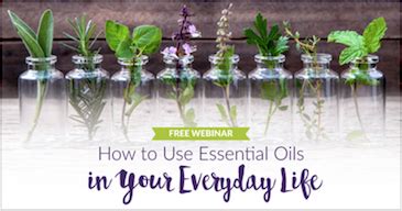 young living|I am a former Young Living Employee, Ask Me Anything!